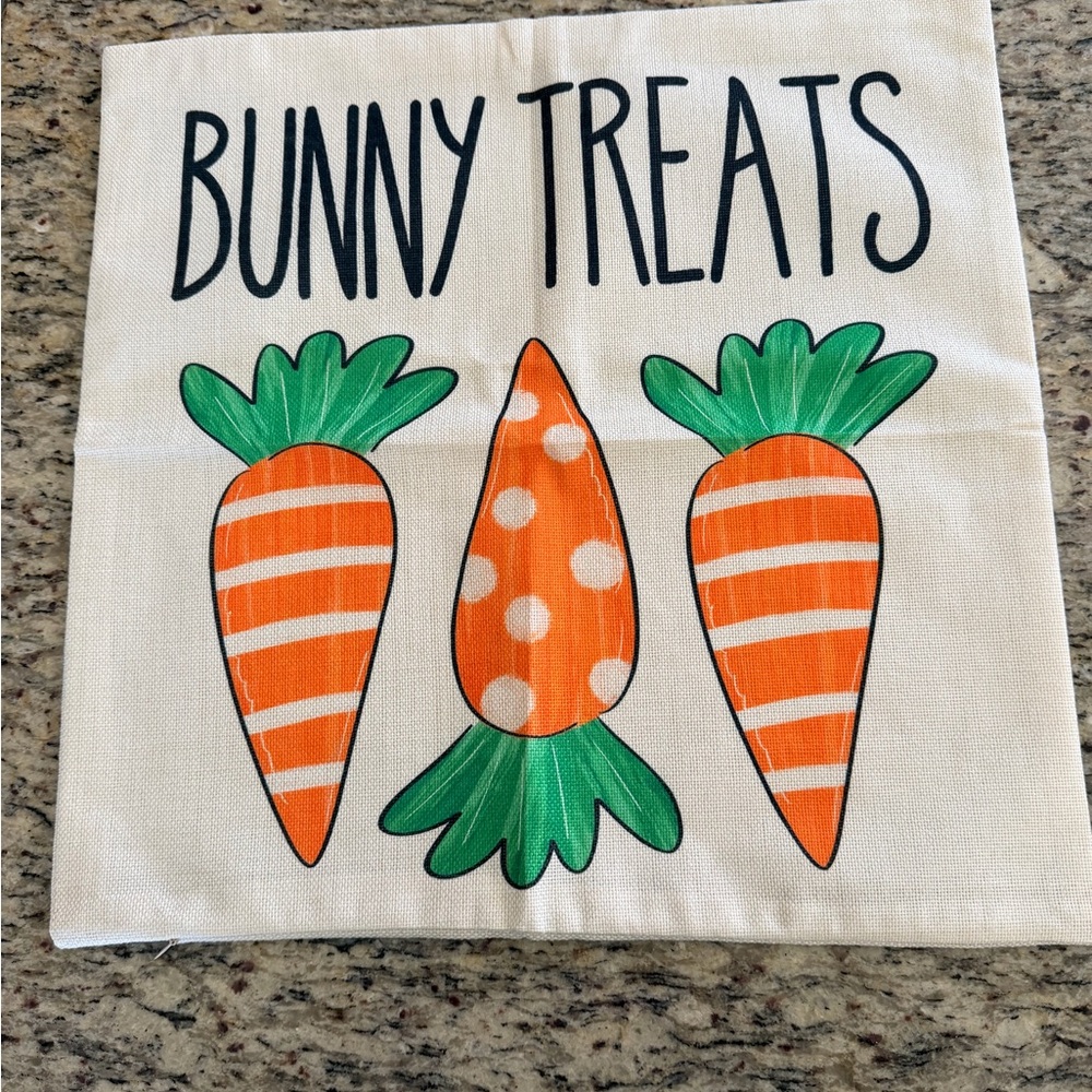 Easter Decorative Pillow Cover (s)
